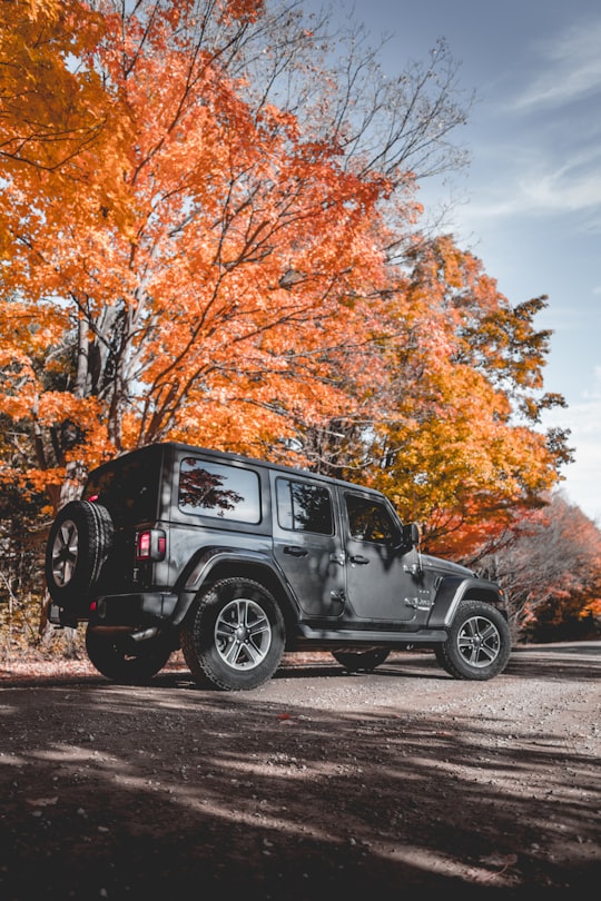 black vehicle beside tree in Caledon Canada