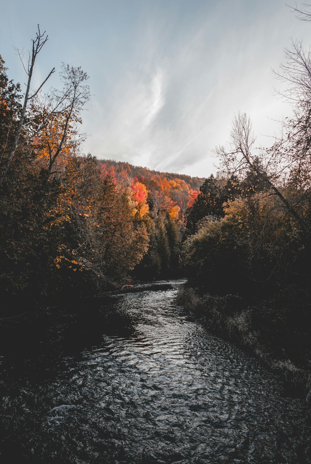 River photo spot Caledon Mississauga