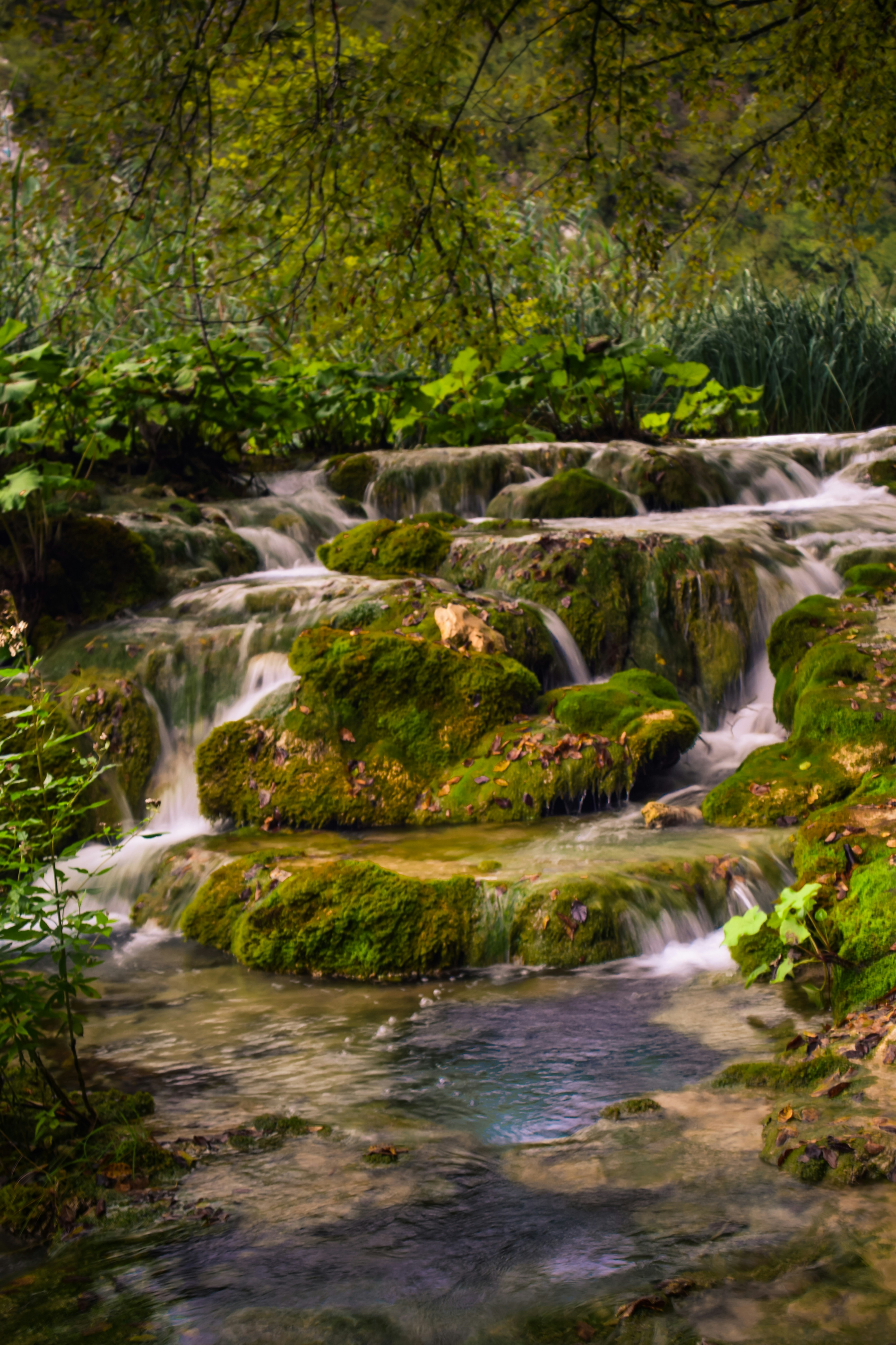Running body of water photo Free Green Image on Unsplash