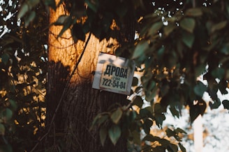 A clear phone number sign with 530-567-8774 displayed prominently for easy contact.