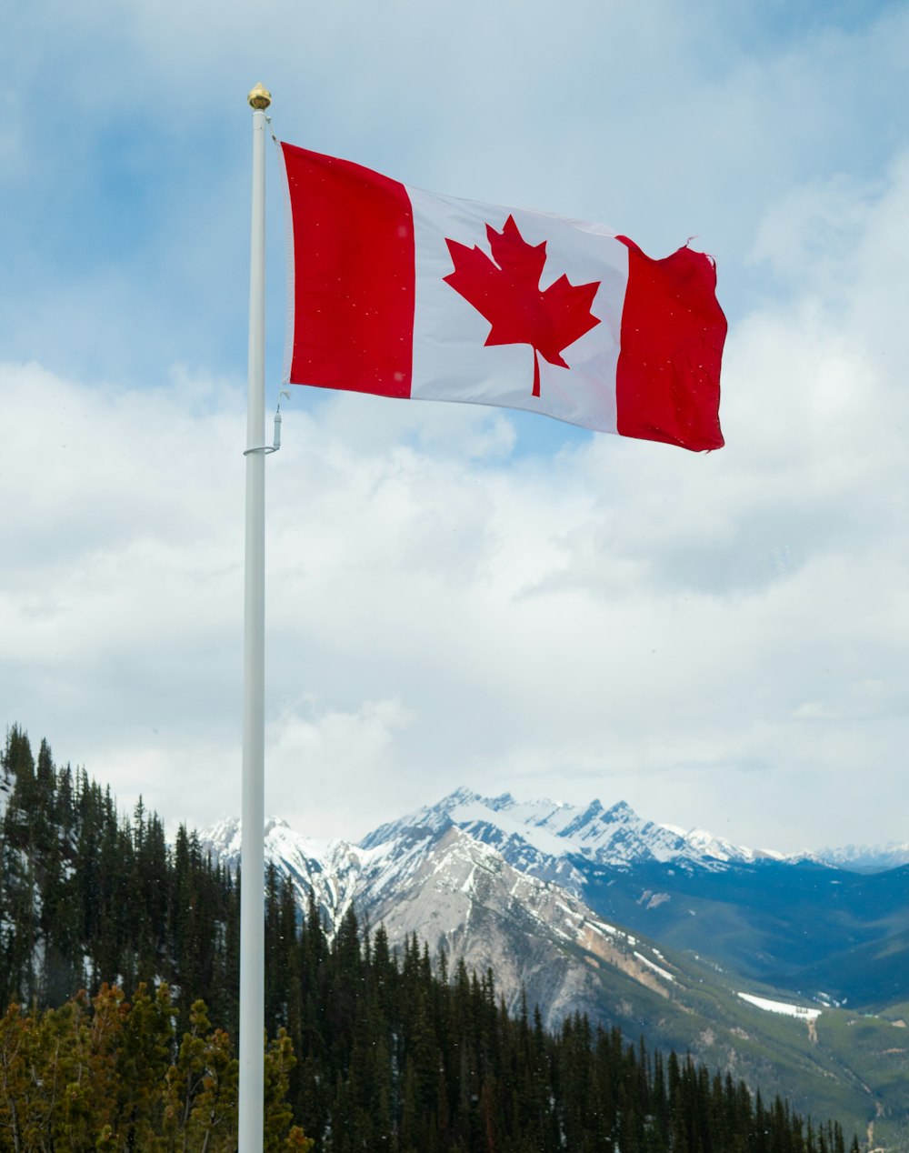 foto a fuoco superficiale della bandiera canadese