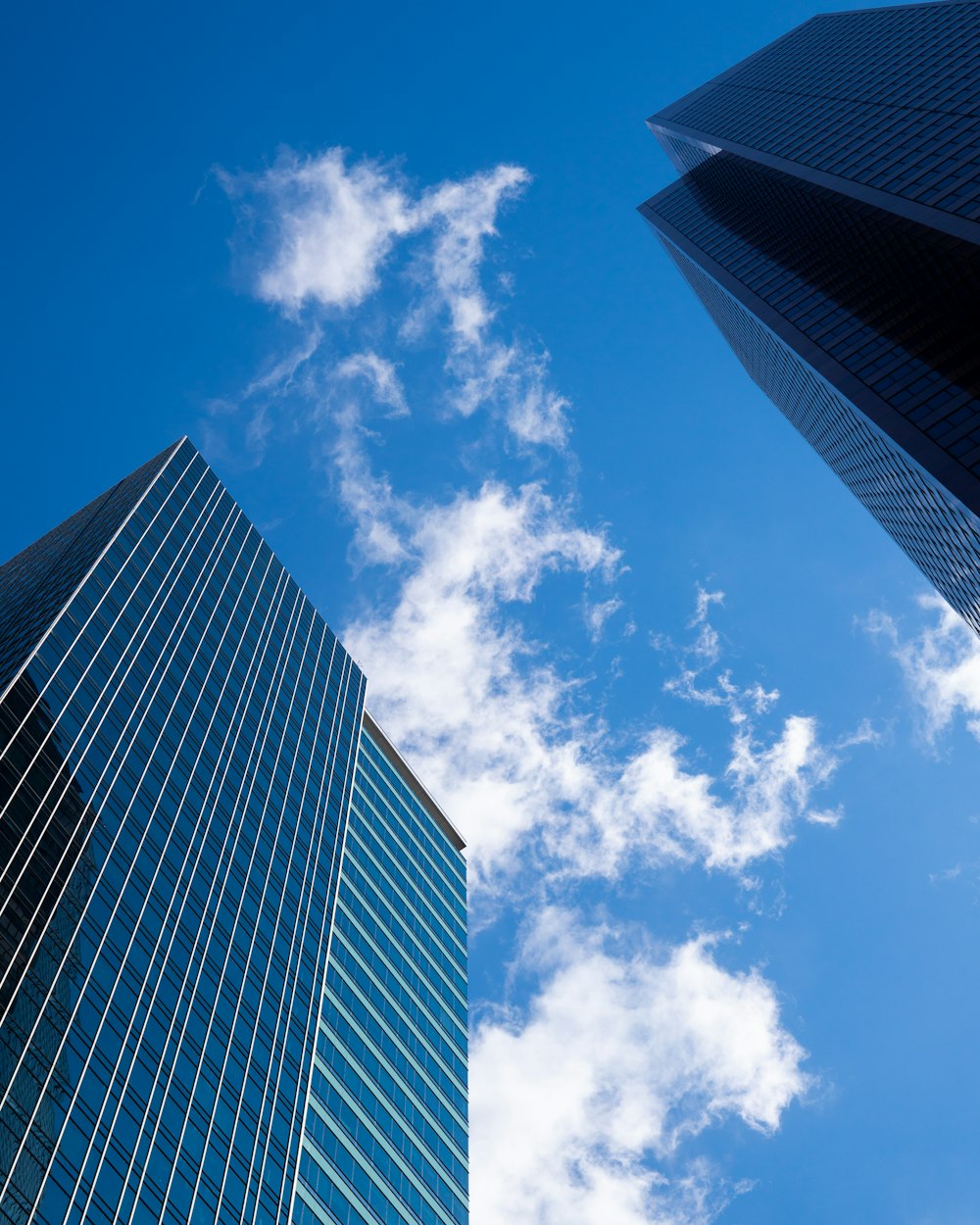 two blue high rise buildings