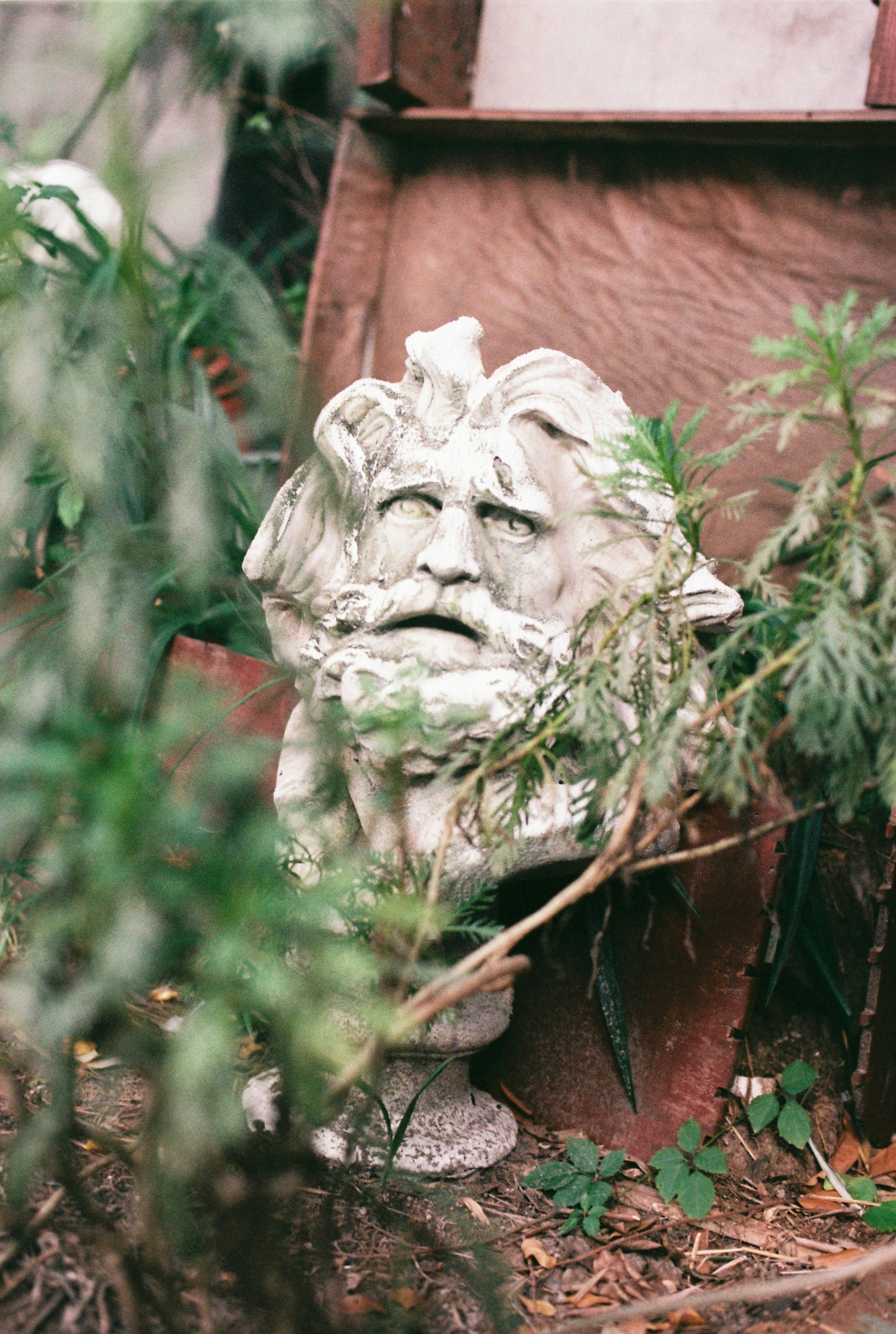 Photo by geraltyichen