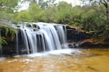 A serene waterfall cascading over a rocky ledge into a clear pool, surrounded by lush greenery and forested vegetation. The water flows gently, creating a peaceful atmosphere within a natural setting.