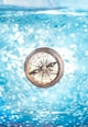 round gold-colored compass