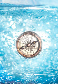 Close-up of a diver practicing underwater navigation with a compass.