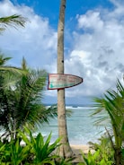 A tropical beach scene with a tall palm tree in the foreground. Attached to the tree, a colorful sign reads 'Good Vibes Happen on the Tides - Bamboo Garden.' The ocean waves gently lap at the sandy shore in the background, while lush green foliage surrounds the scene. Fluffy clouds float in the bright blue sky.