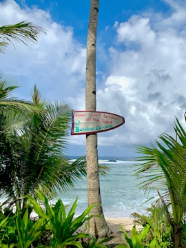 A tropical beach scene with a tall palm tree in the foreground. Attached to the tree, a colorful sign reads 'Good Vibes Happen on the Tides - Bamboo Garden.' The ocean waves gently lap at the sandy shore in the background, while lush green foliage surrounds the scene. Fluffy clouds float in the bright blue sky.
