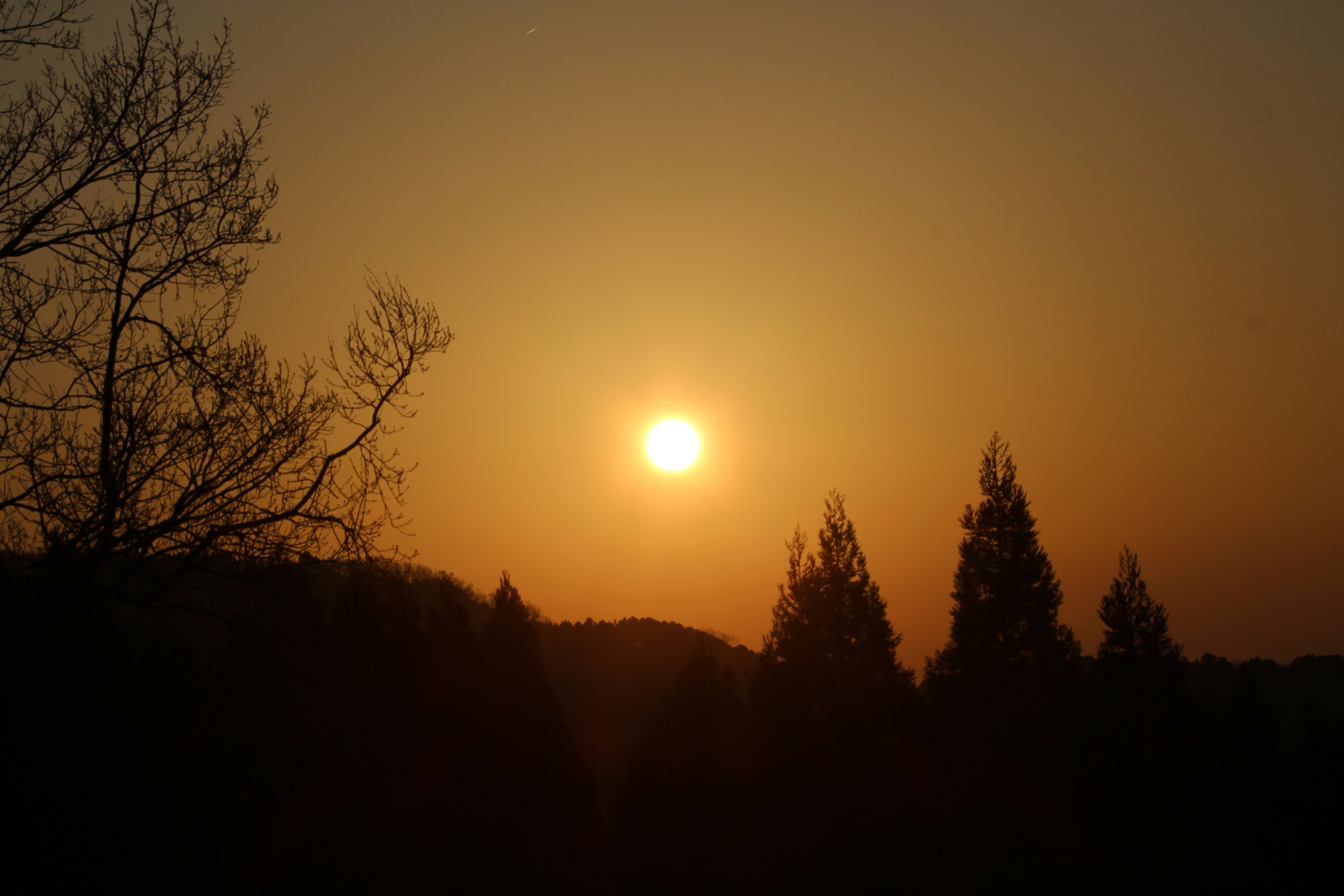 Photo by felipelopez