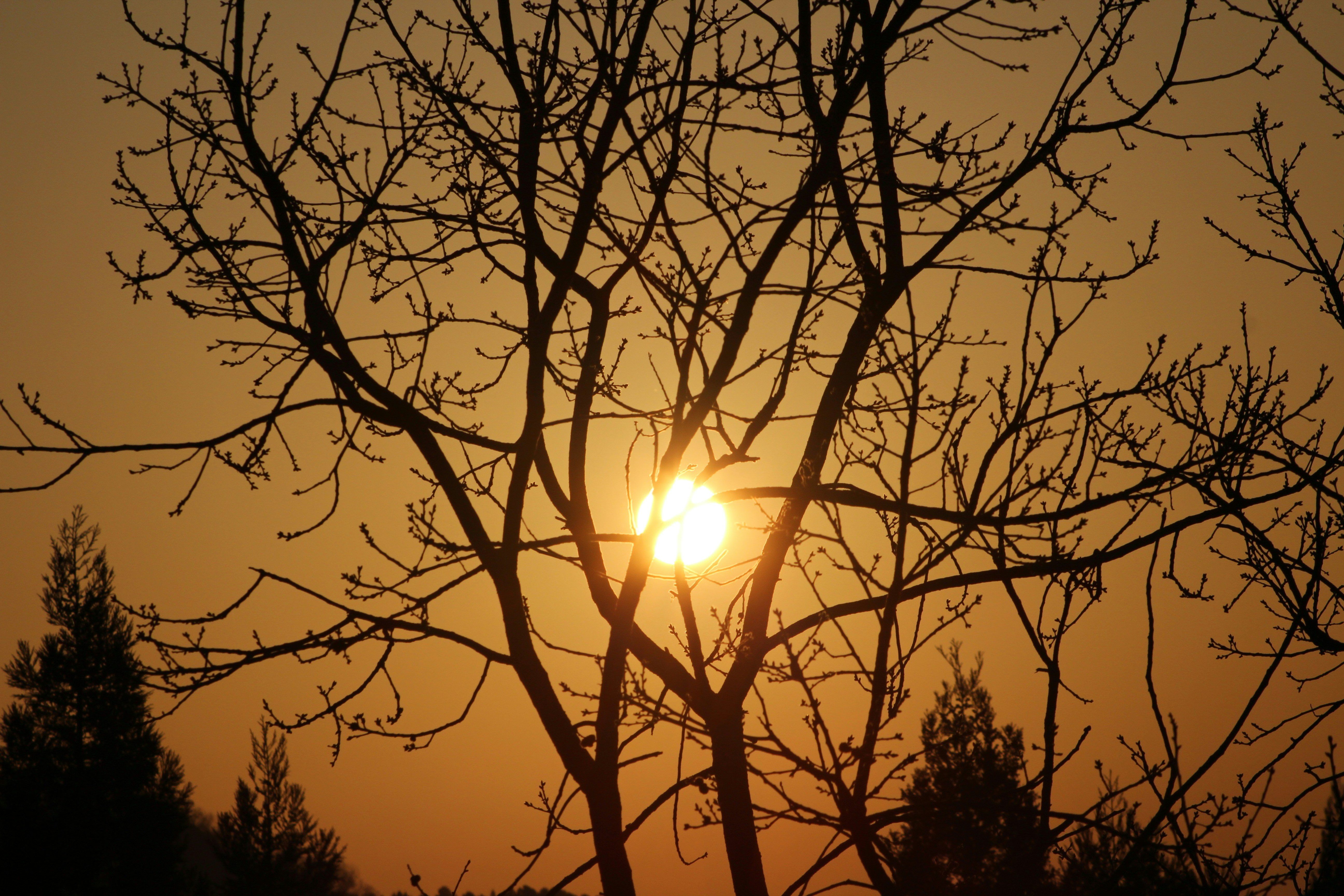 Photo by felipelopez