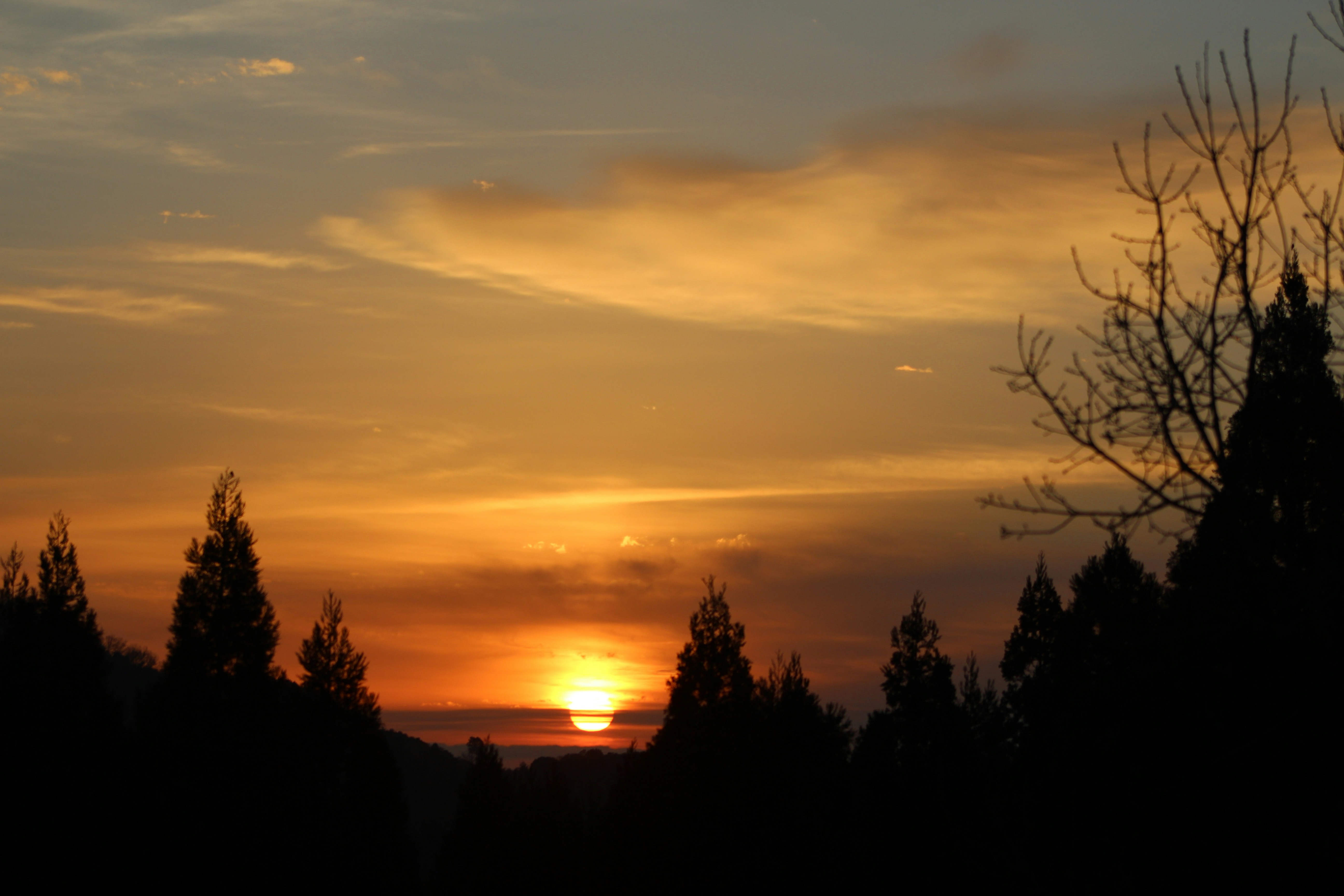 Photo by felipelopez