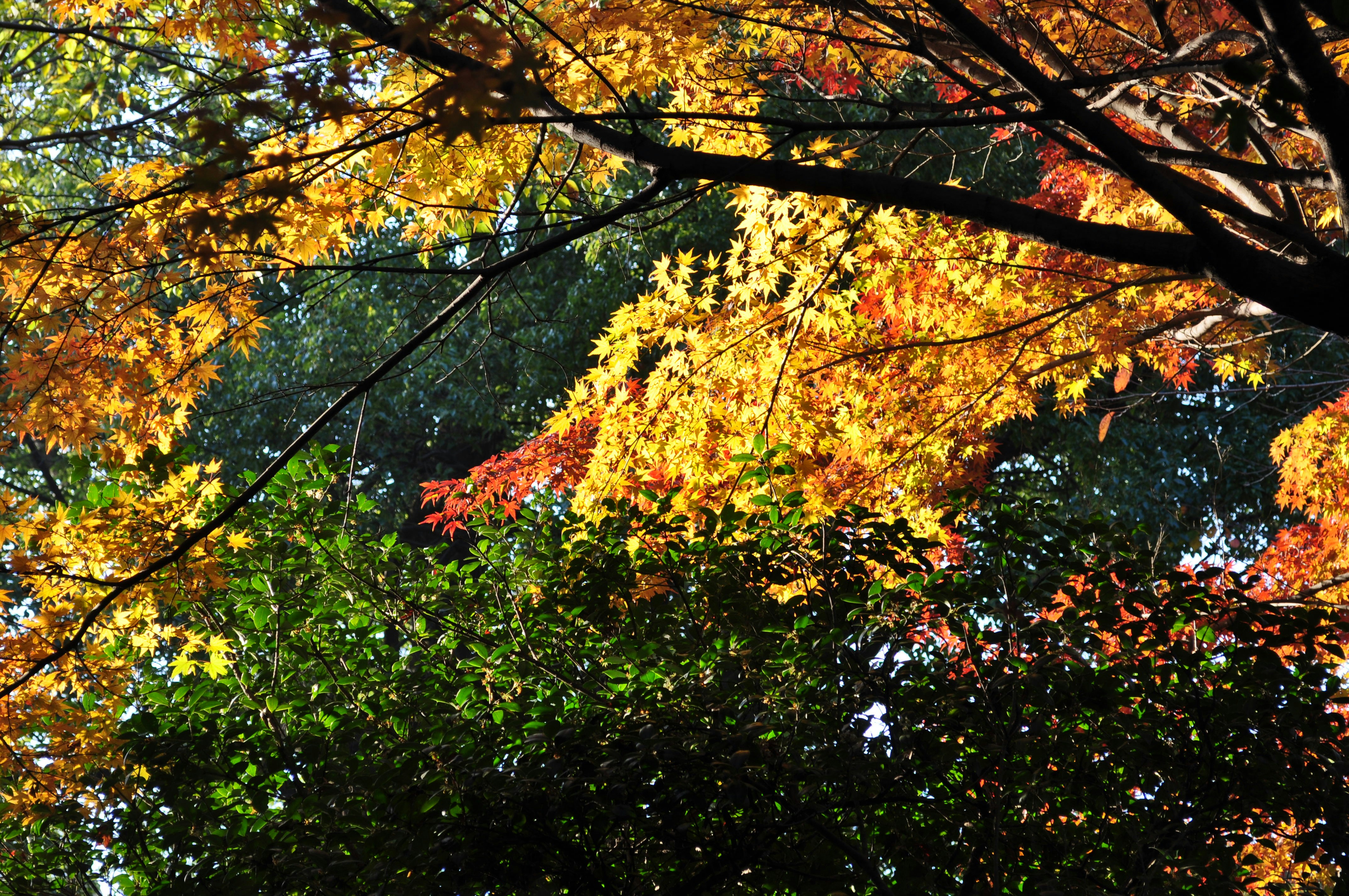 Photo by felipelopez