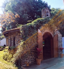 A charming rustic wedding venue surrounded by lush greenery and blooming flowers.