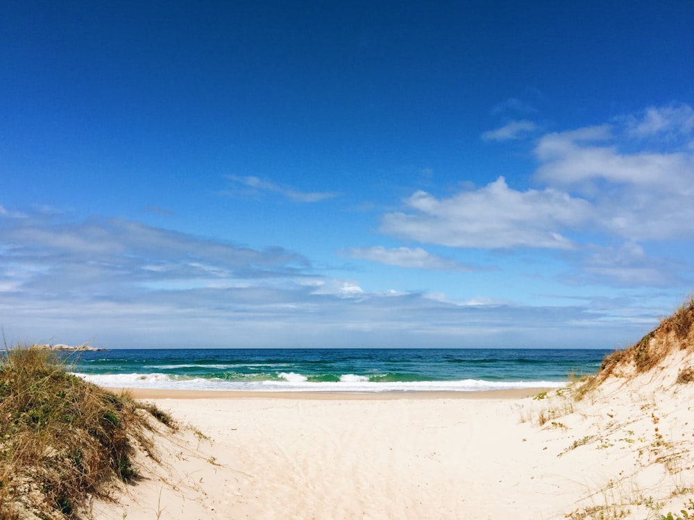 seashore and body of water