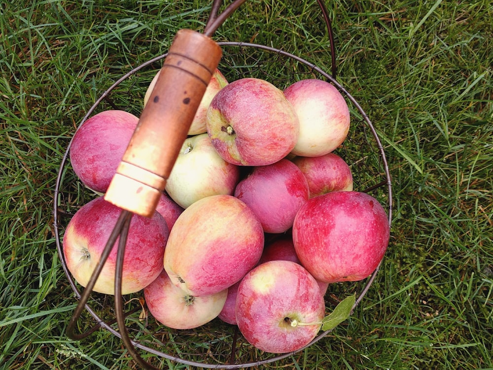 basket of apple fruits