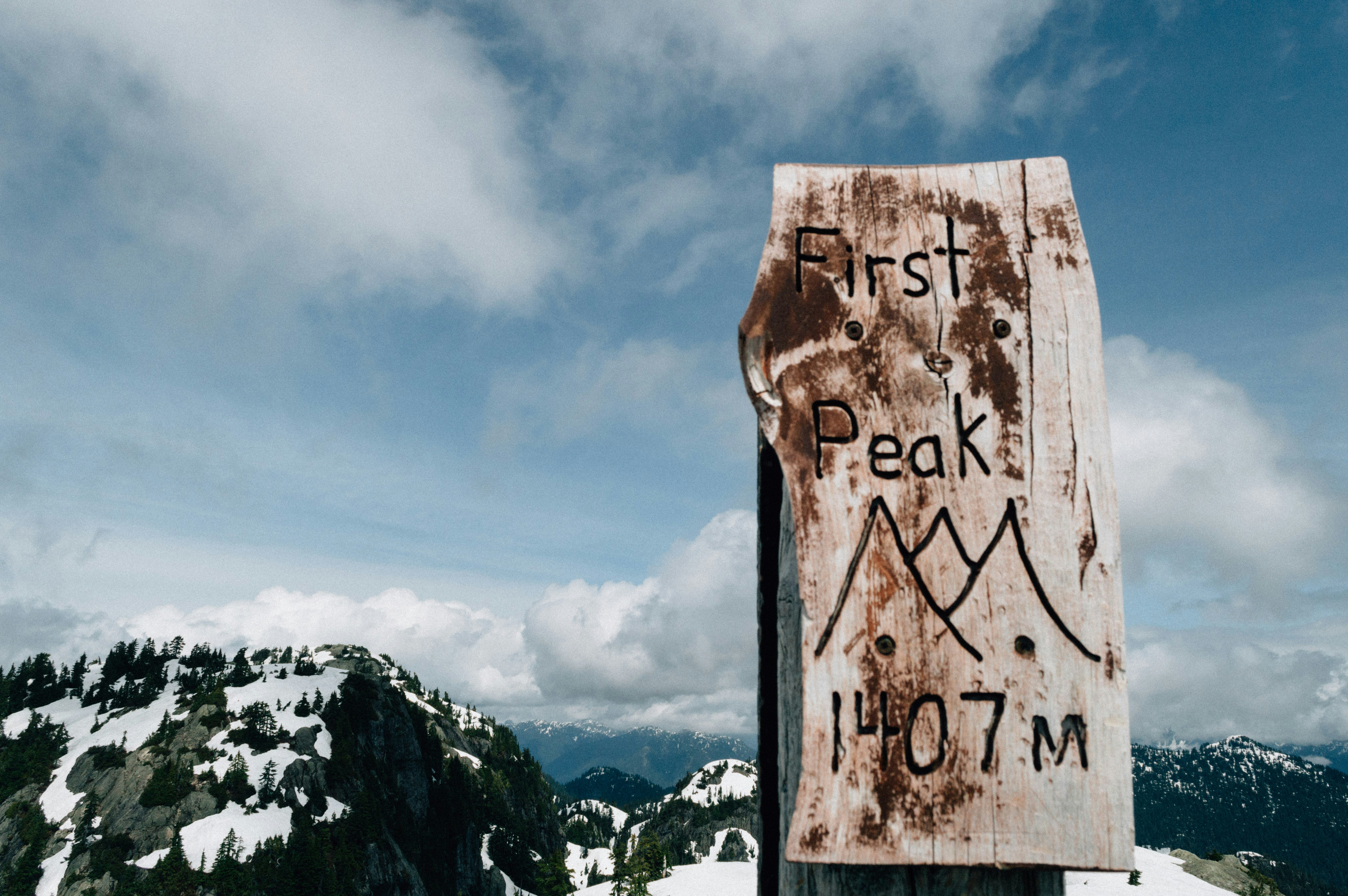 Brown wooden signage