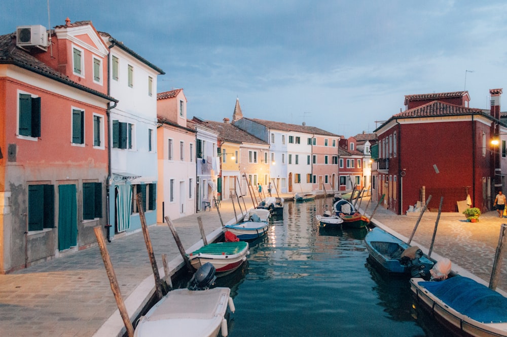 boats on body of water