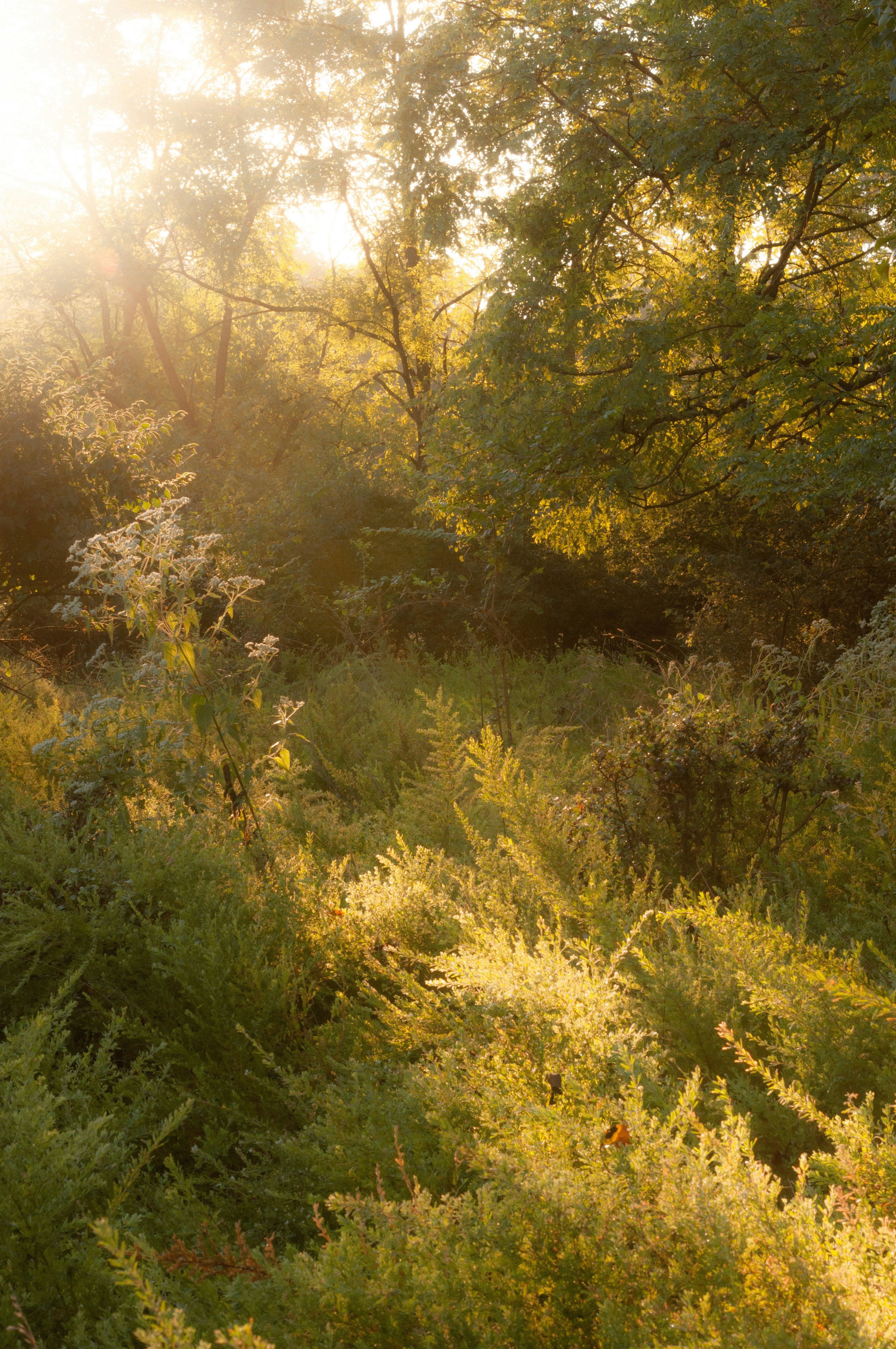 Photo by drewdempsey