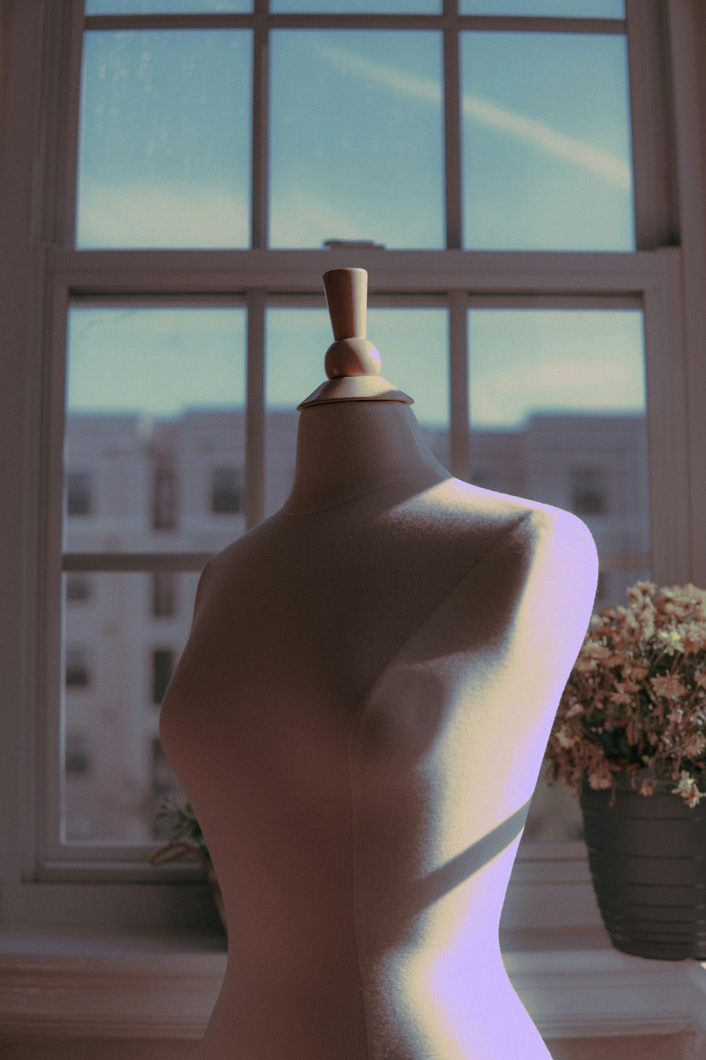 photo of torso maniquine