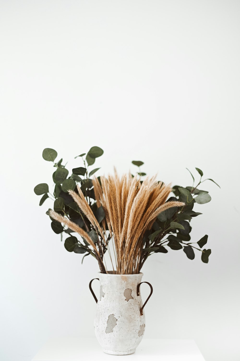 wheat and green leaf plant in vase