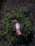 A happy customer wearing maison luxe footwear while walking in a park.