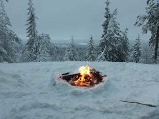 bonfire near snow covered trees
