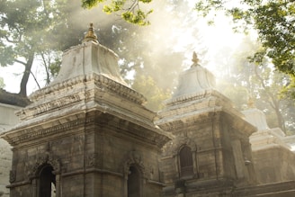 Ancient stone temple structures with intricate carvings stand under a canopy of trees as sunlight filters through, casting a mystical glow. The temples have a historic appearance with detailed architecture and are surrounded by lush greenery.