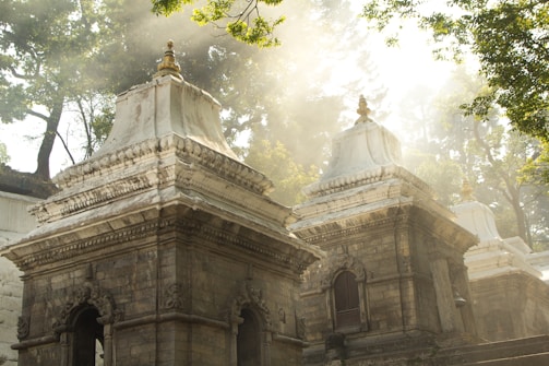 Ancient stone temple structures with intricate carvings stand under a canopy of trees as sunlight filters through, casting a mystical glow. The temples have a historic appearance with detailed architecture and are surrounded by lush greenery.