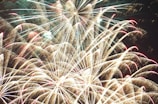 Bright and colorful fireworks burst and spread across the night sky, creating intricate patterns of light. The display features arches and radiating lines in hues of white, gold, and hints of red, with a backdrop of deep darkness.