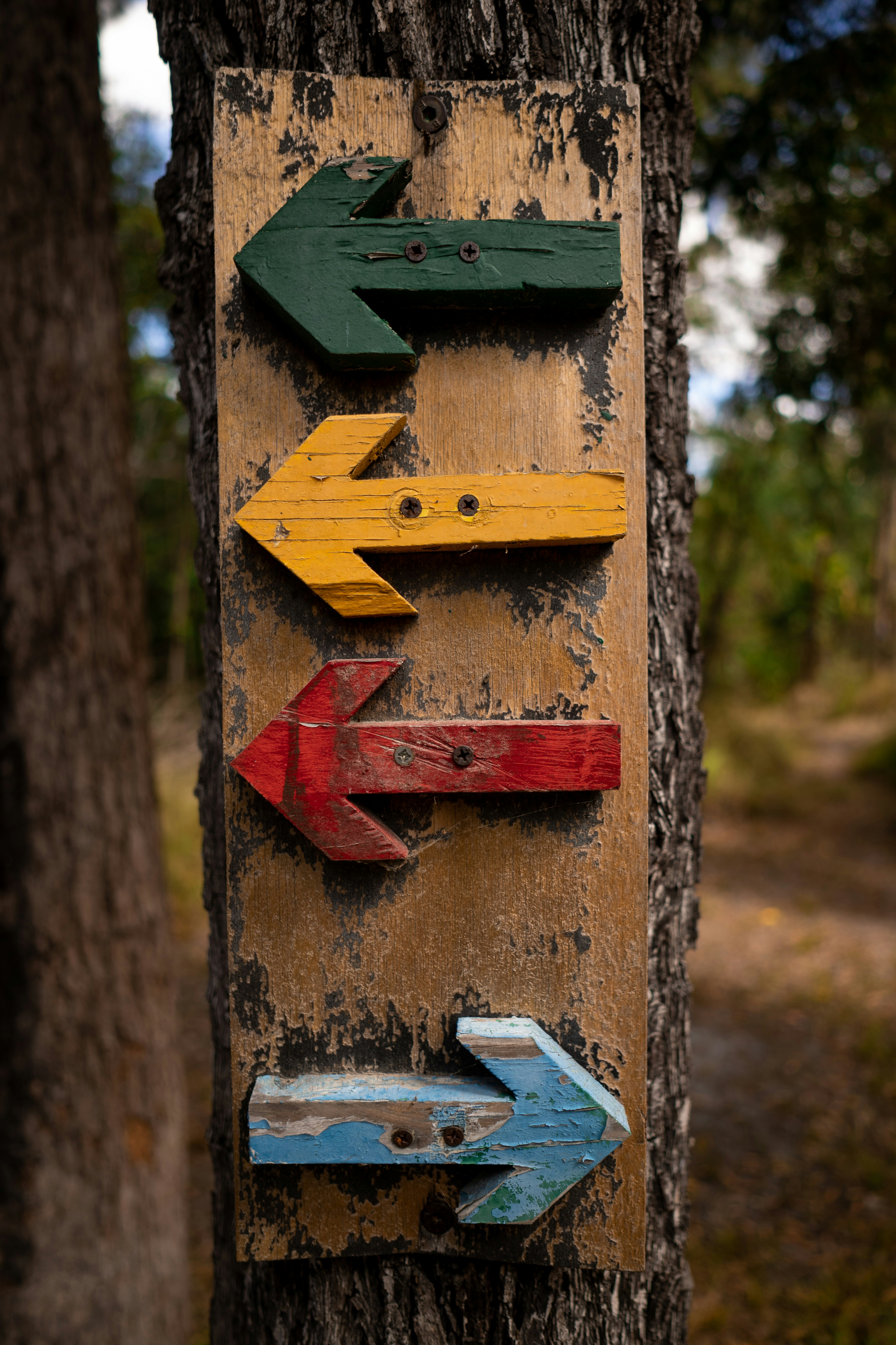 750+ Arrows Pictures Download Free Images on Unsplash