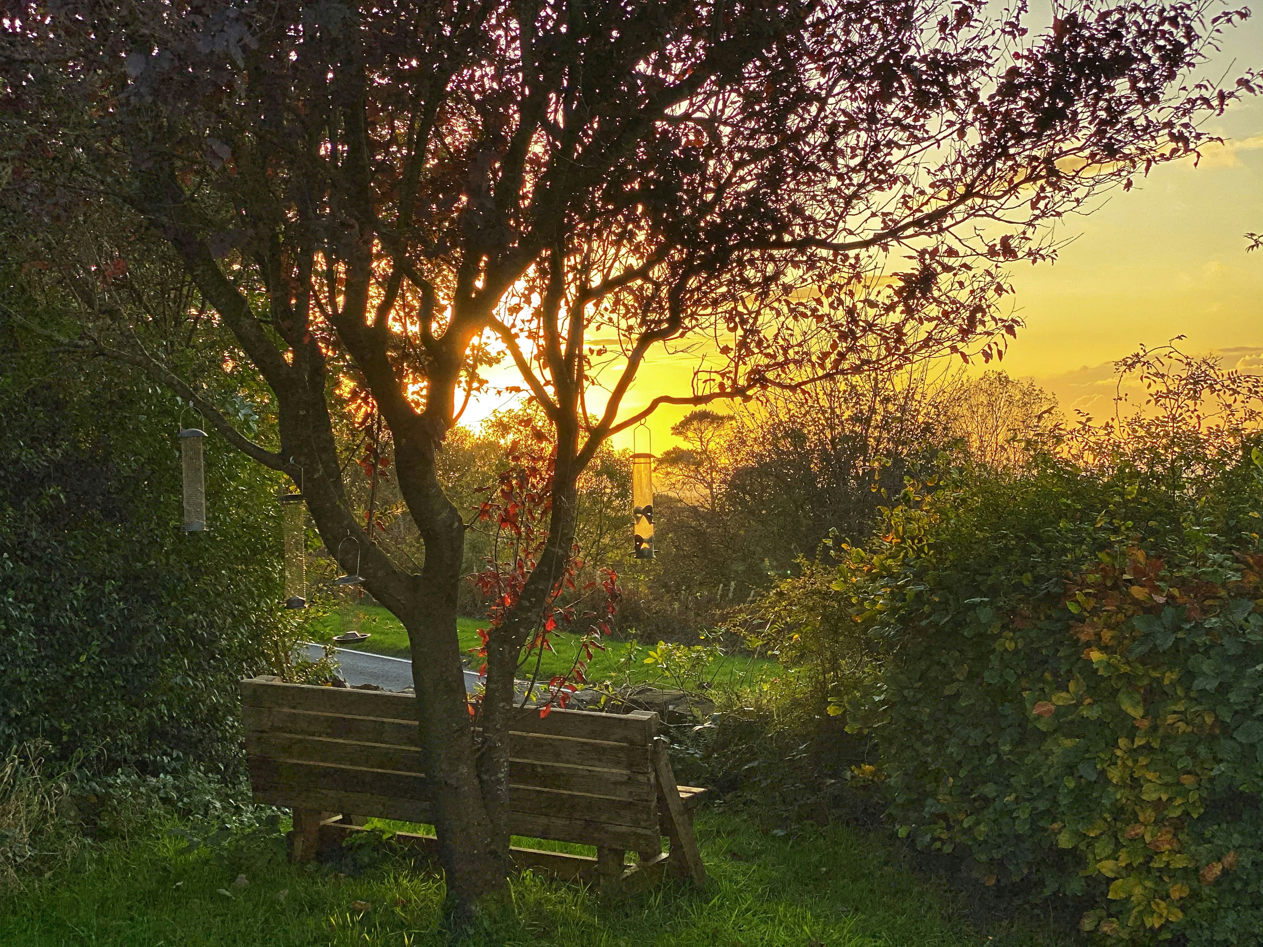 Photo by holdenmagroin75