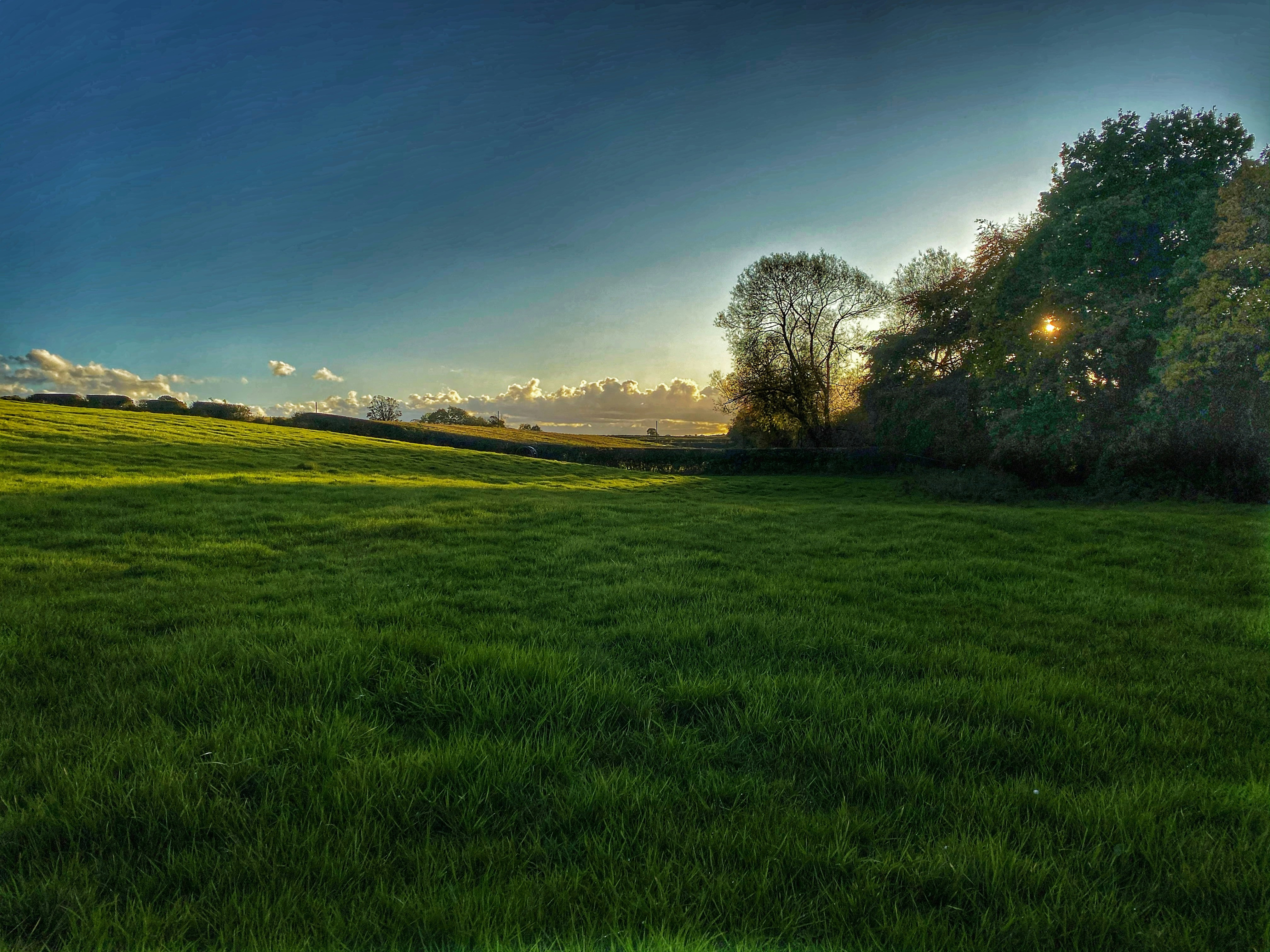 Photo by holdenmagroin75