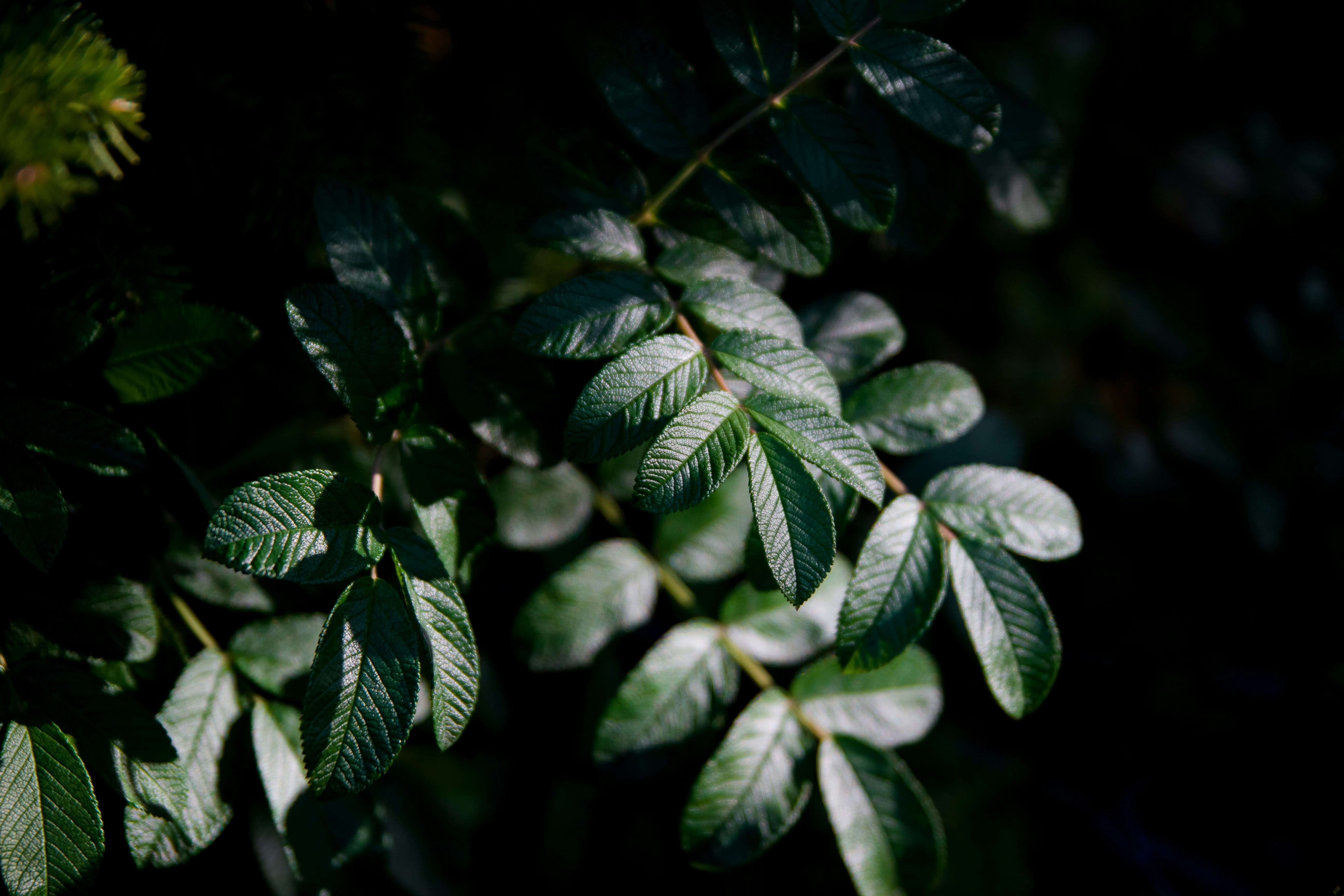 Photo by lana_zorina_ph