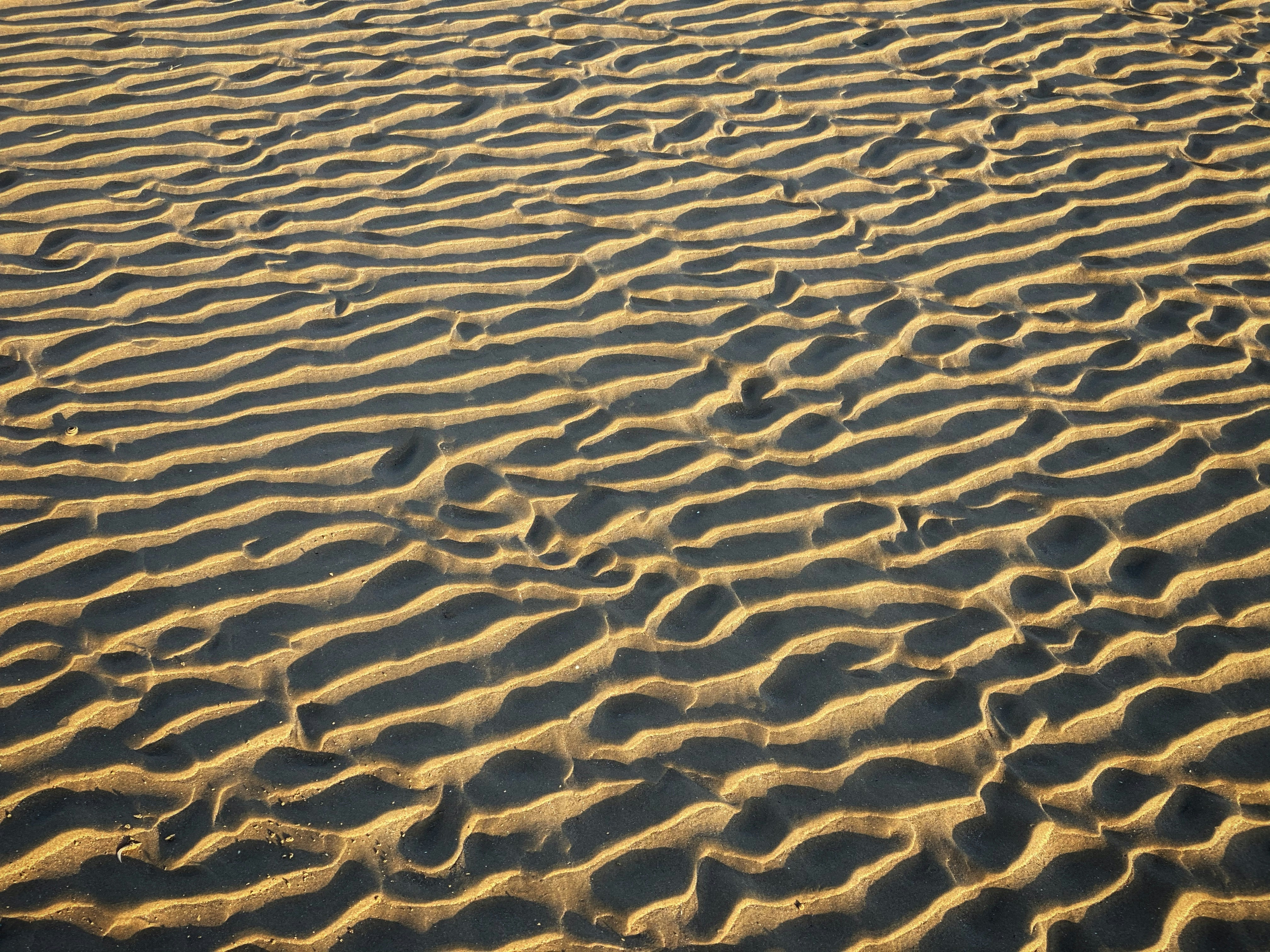 Photo by holdenmagroin75