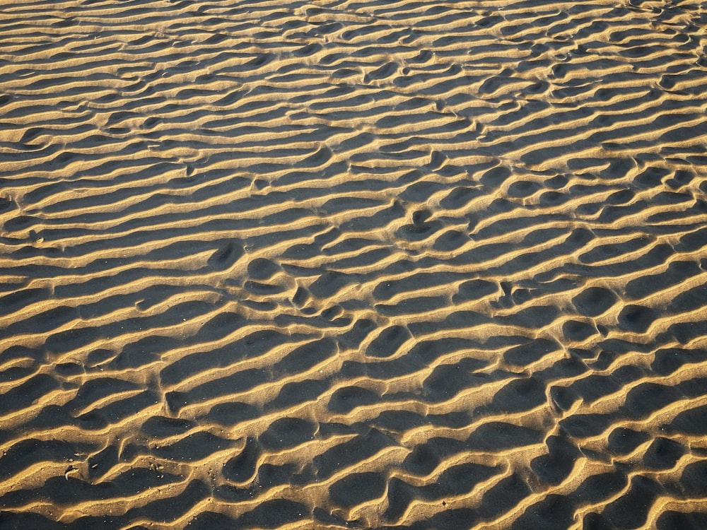 sand field during day