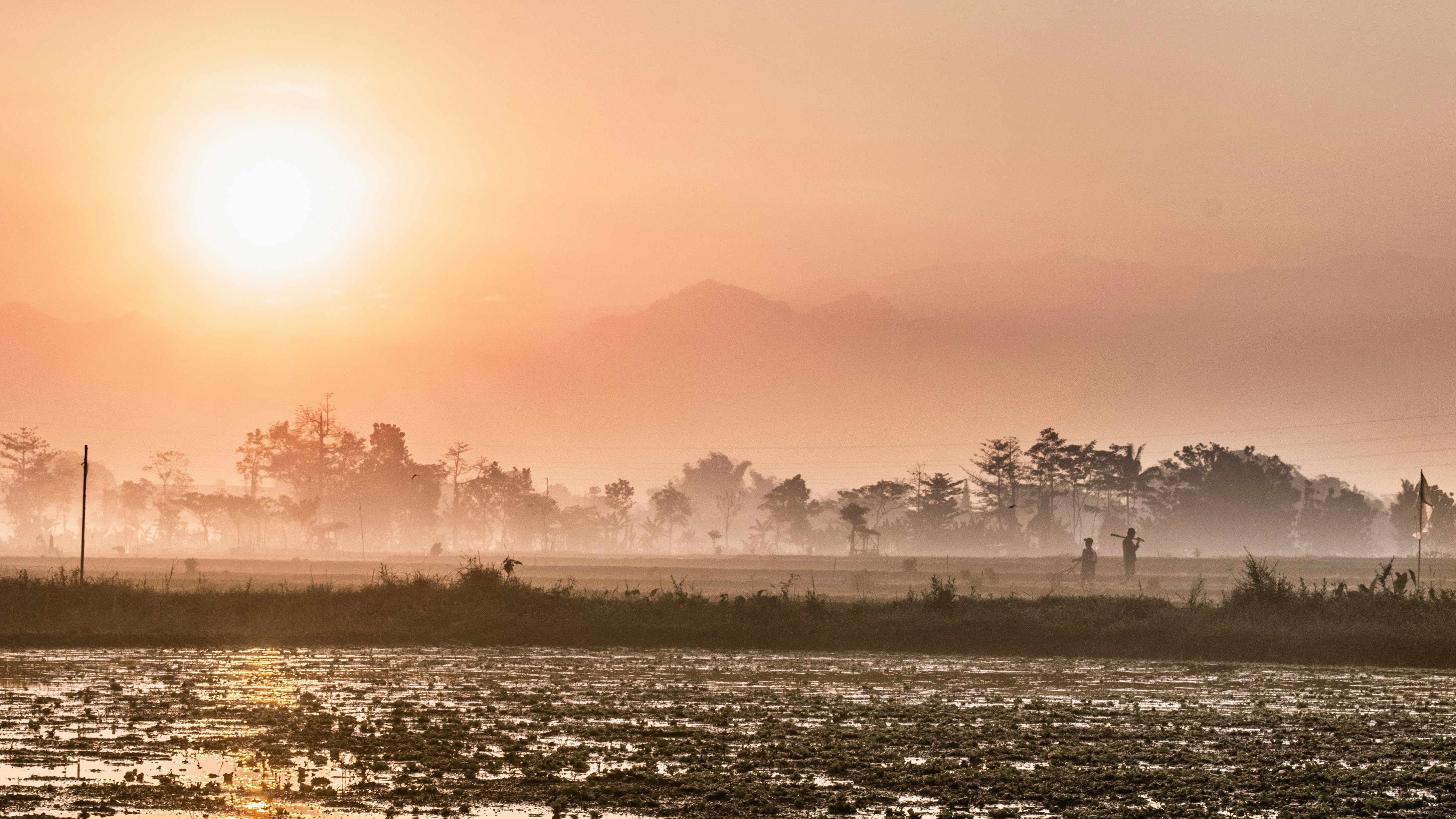 Photo by hikarinoshita