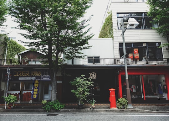 two storey building beside trees in Yamaguchi Japan