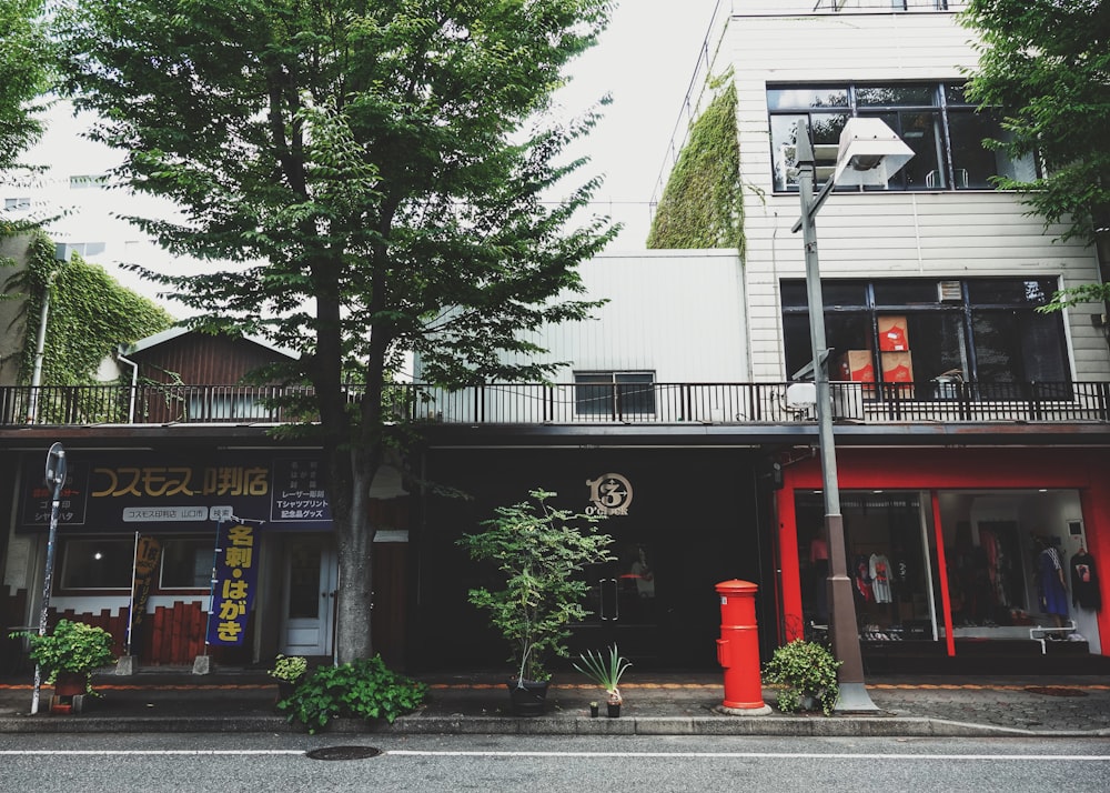 two storey building beside trees