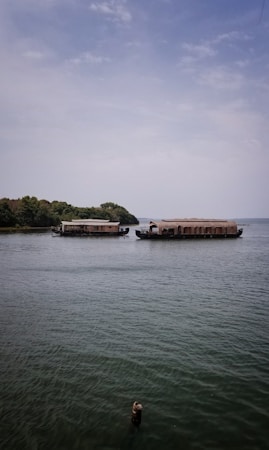 Two houseboats are floating on a calm body of water. Lush greenery is visible in the background under a partly cloudy sky. The water appears tranquil, contributing to a serene setting.