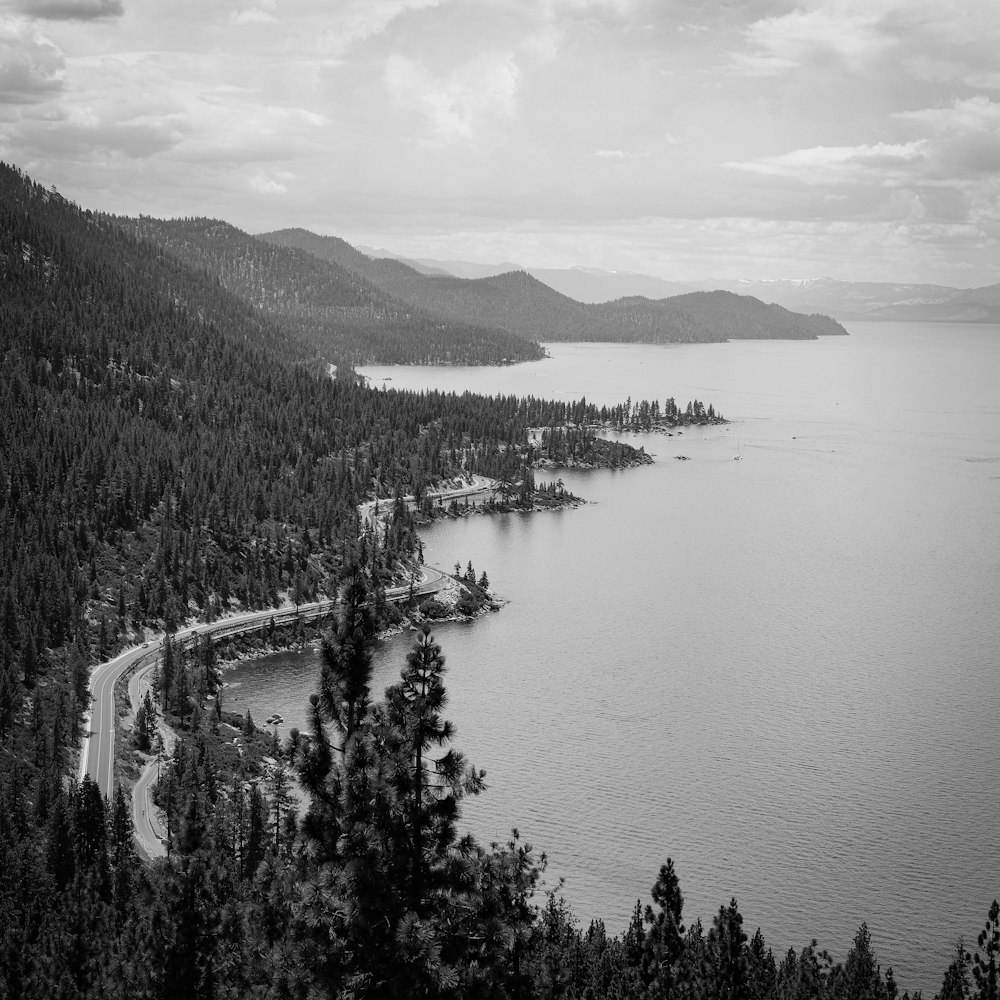 road near forest and sea