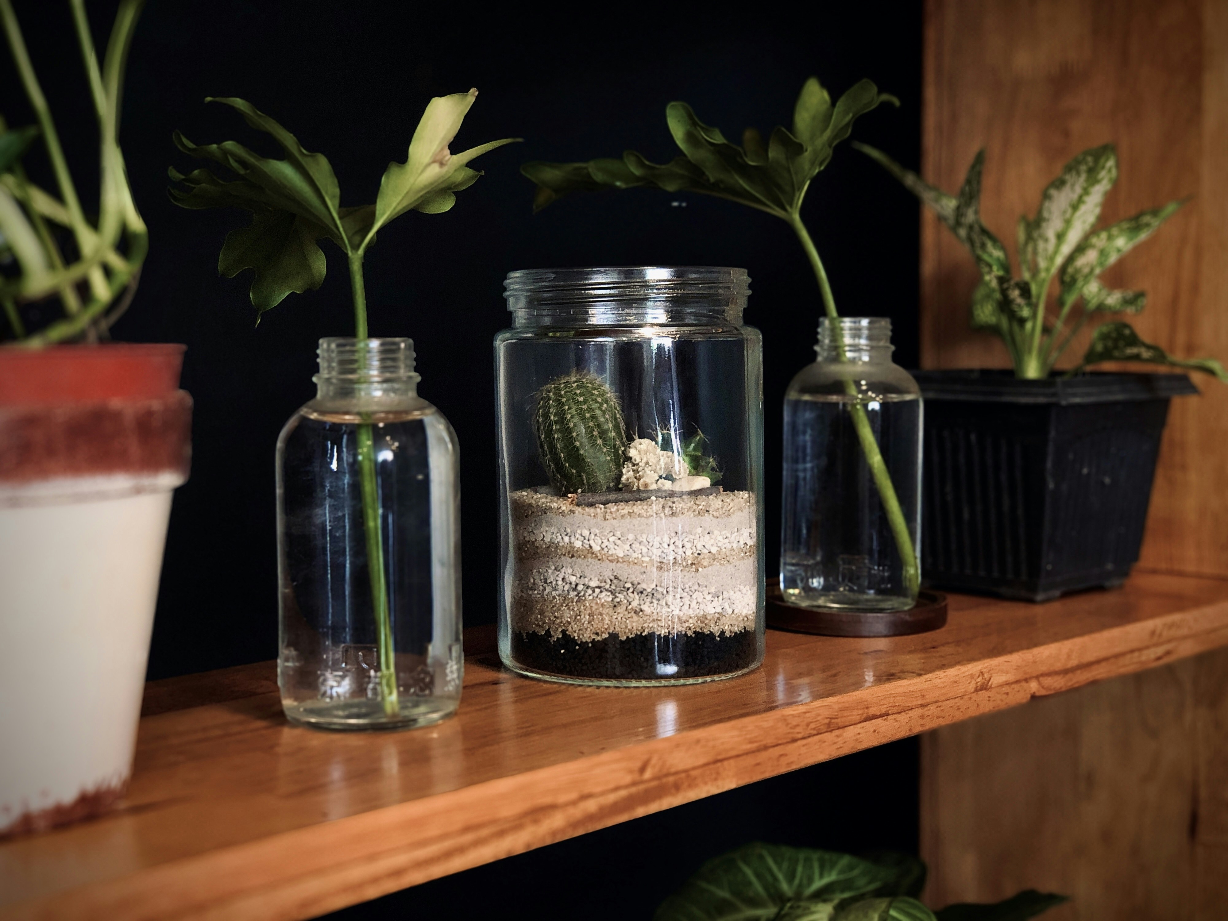 Photo by andy__putra