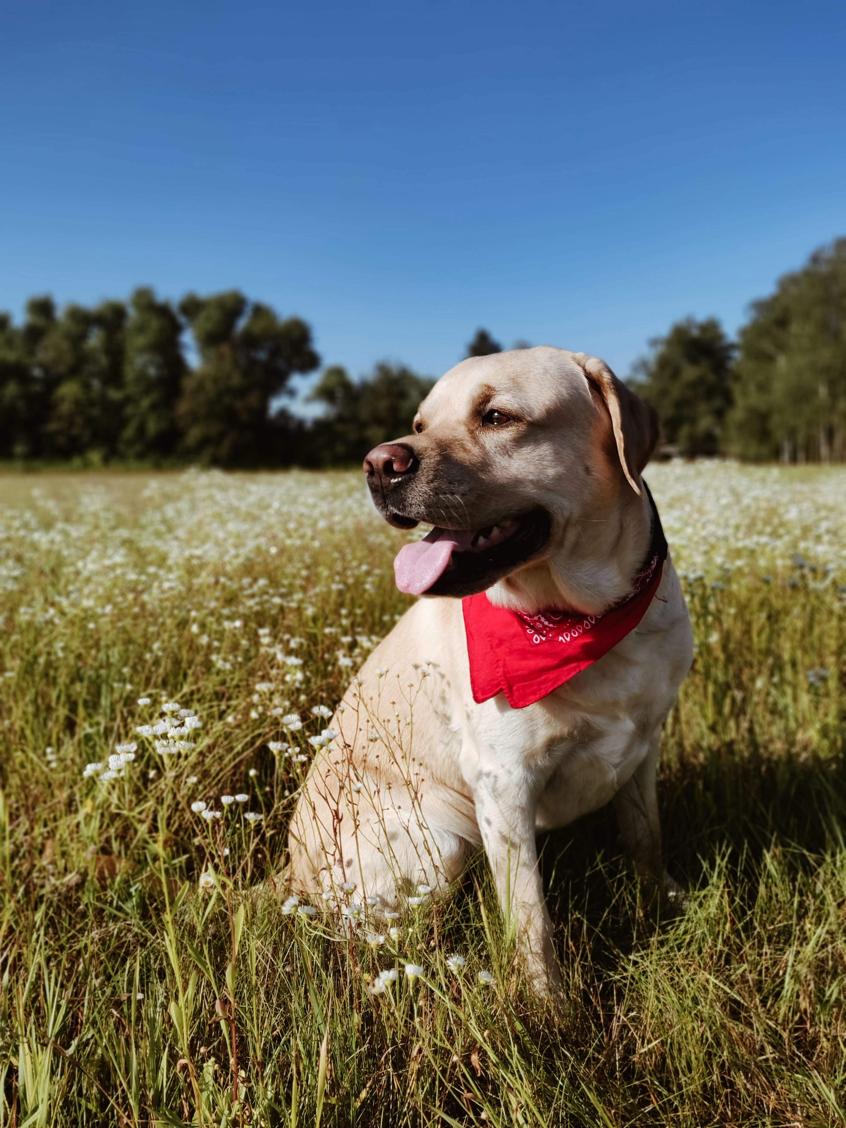 Photo by tanyachuvpylova