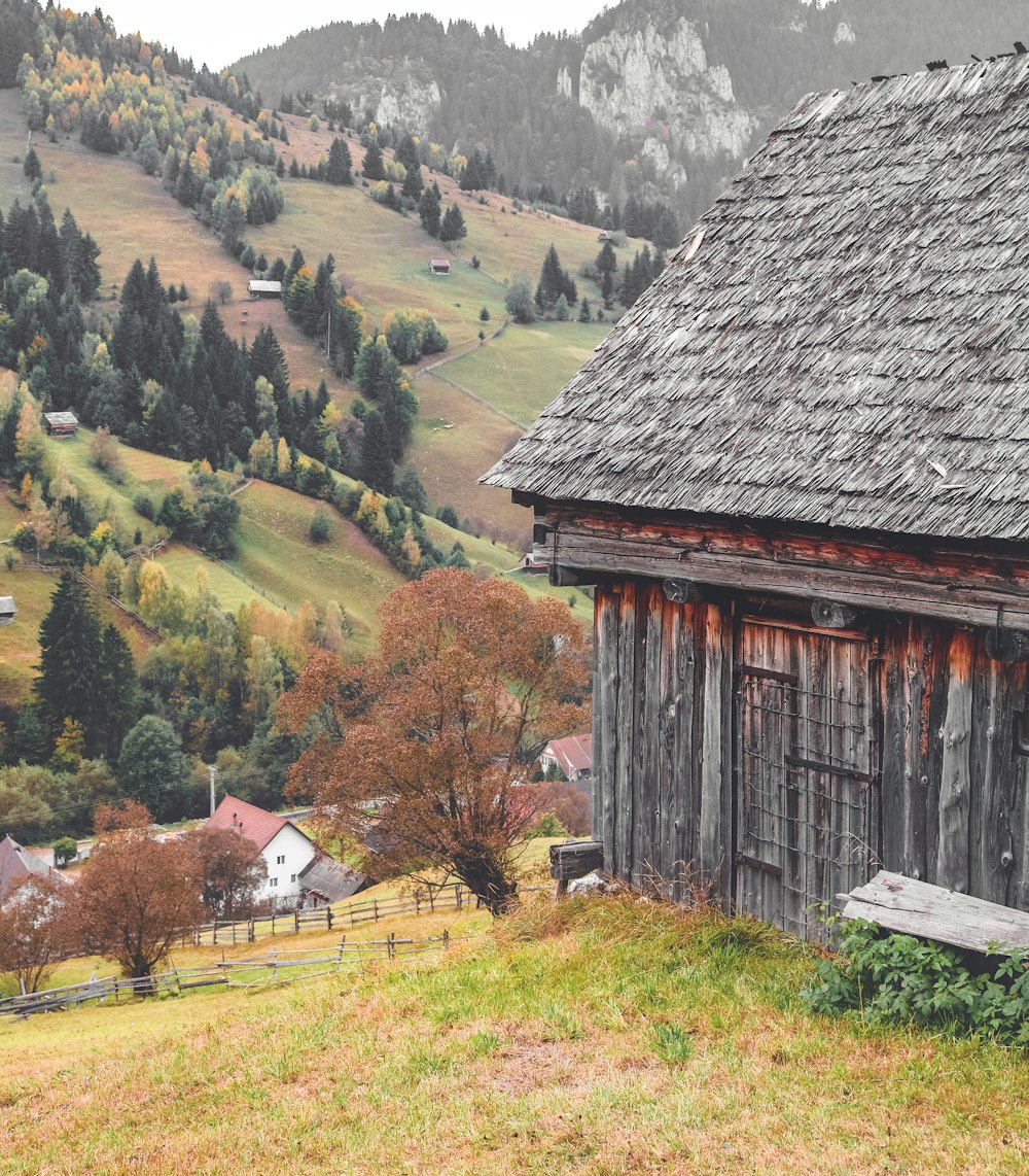 wooden house beside trees