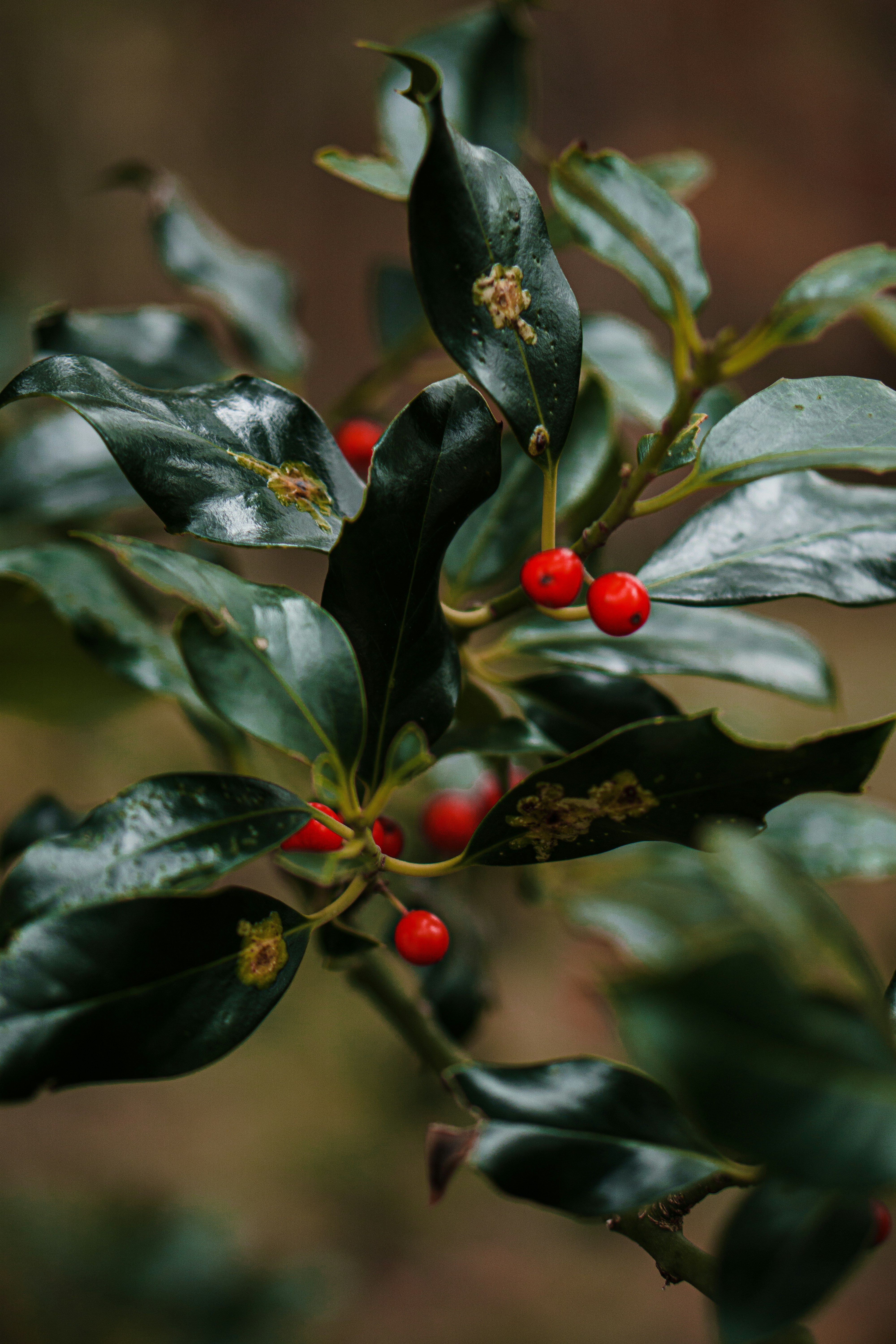 Photo by illiyapresents