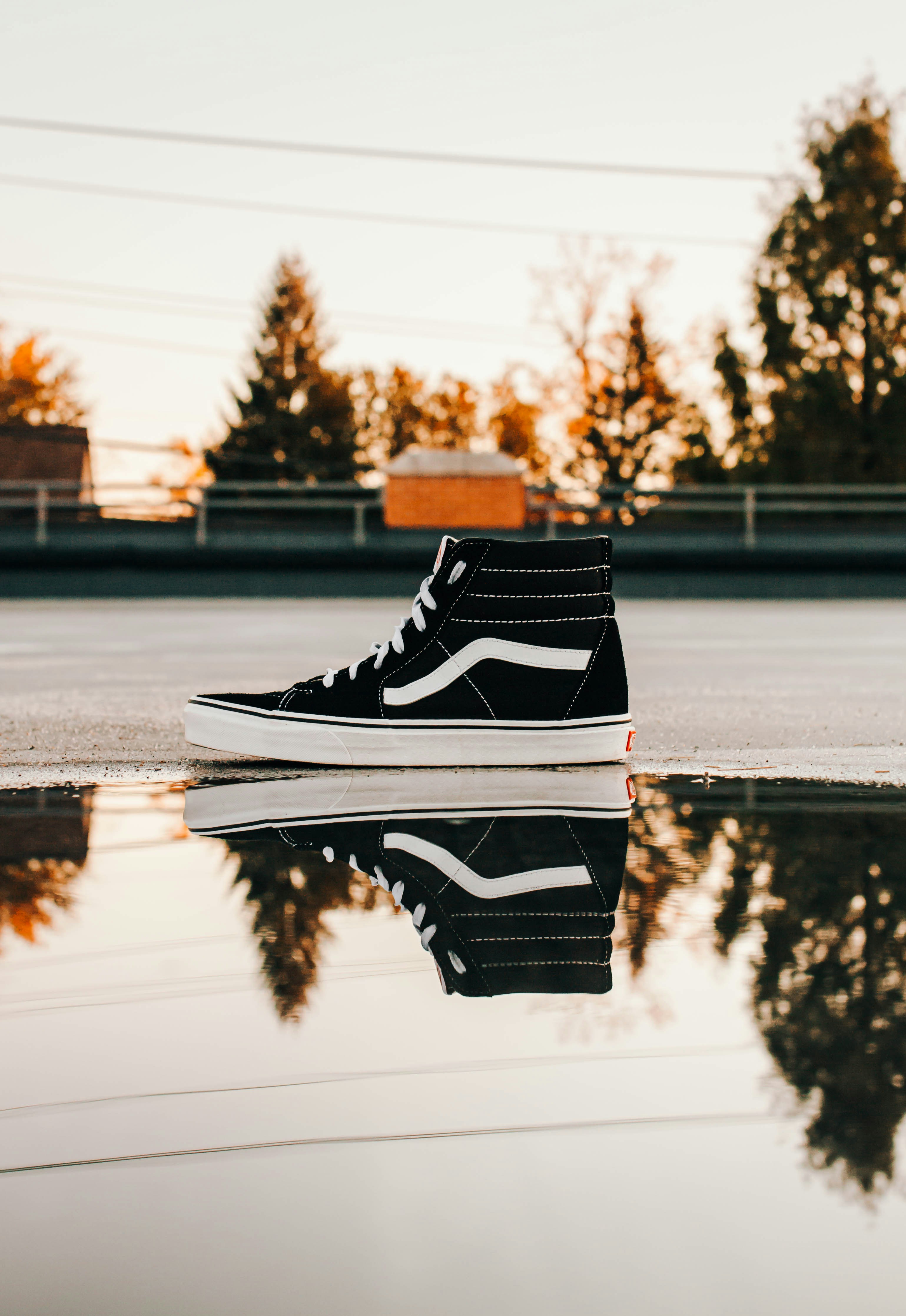 unpaired black and white Vans sneakers