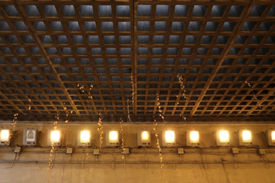 A ceiling with a grid pattern made of concrete blocks. Below the ceiling, a series of bright, rectangular lamps are aligned in a row. Some thin, dried vines or plants hang down from the ceiling toward the floor.