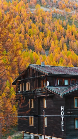brown wooden hotel beside trees during daytime