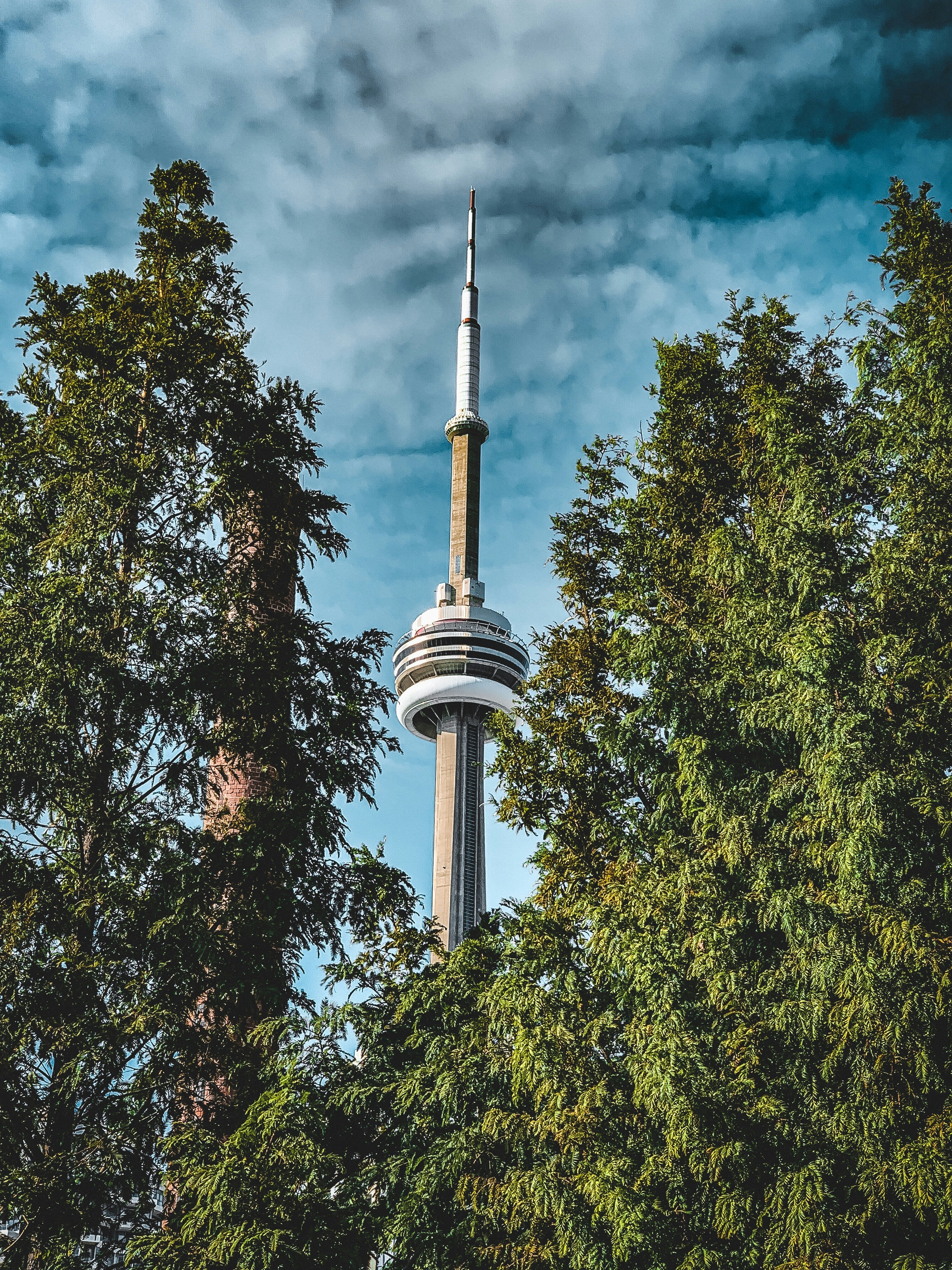 brauner Betonturm umgeben von Bäumen