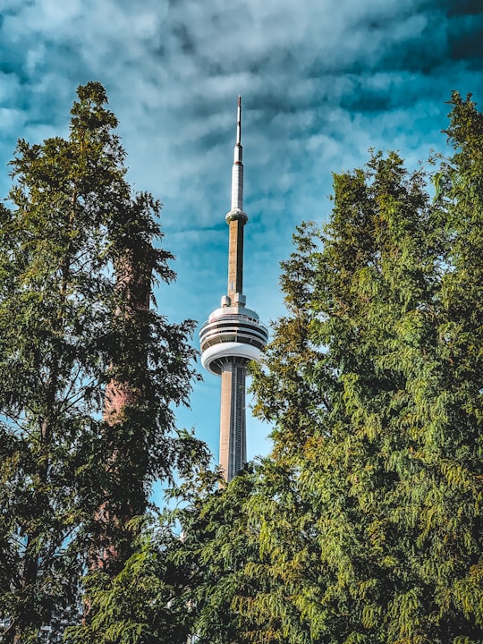brown concrete tower surrounded with trees in HTO Park Canada