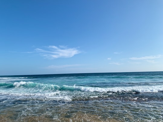 photo of Sri Lanka Beach near Nuwara Eliya